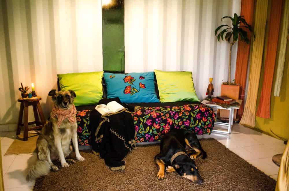 Tierra_Dulce-08n sala interna cabin -min