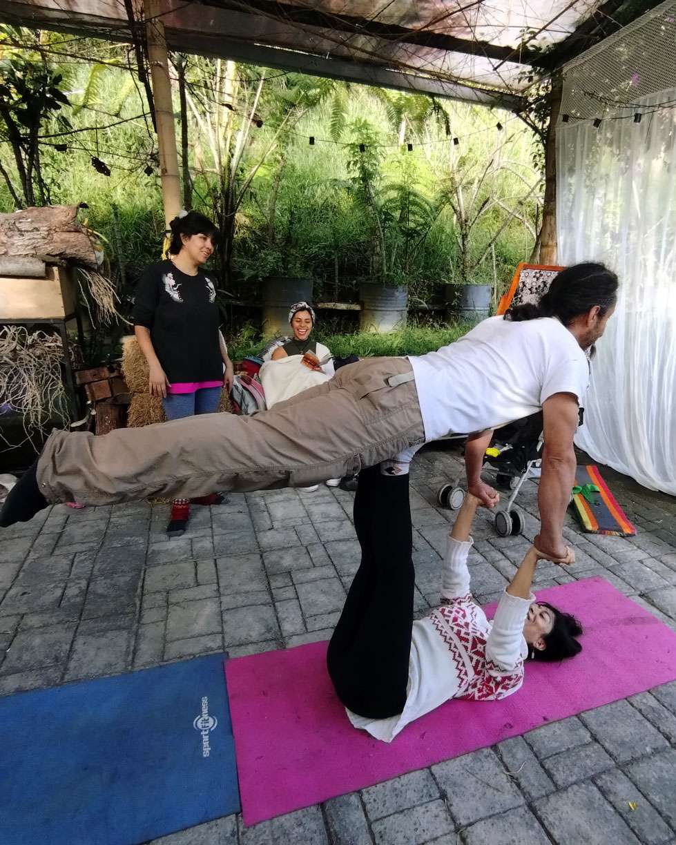 holisticas1