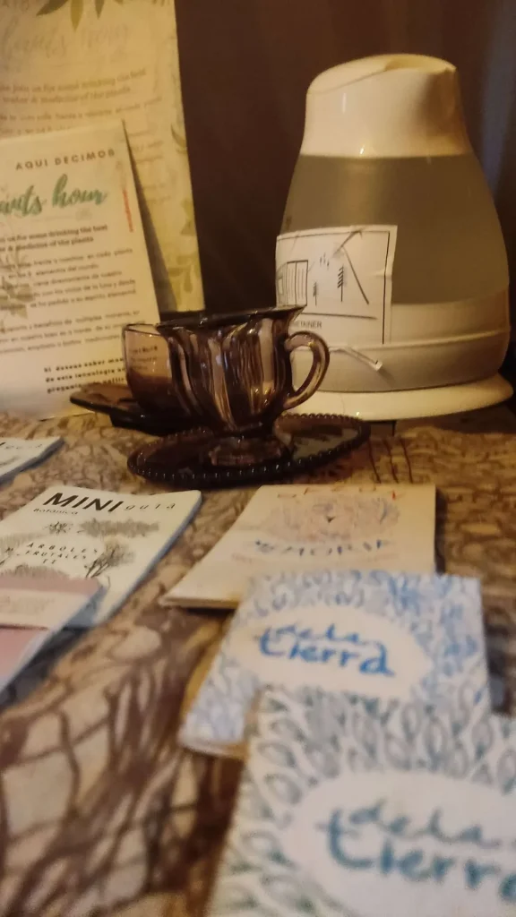 IMG_20230909_153132-scaled