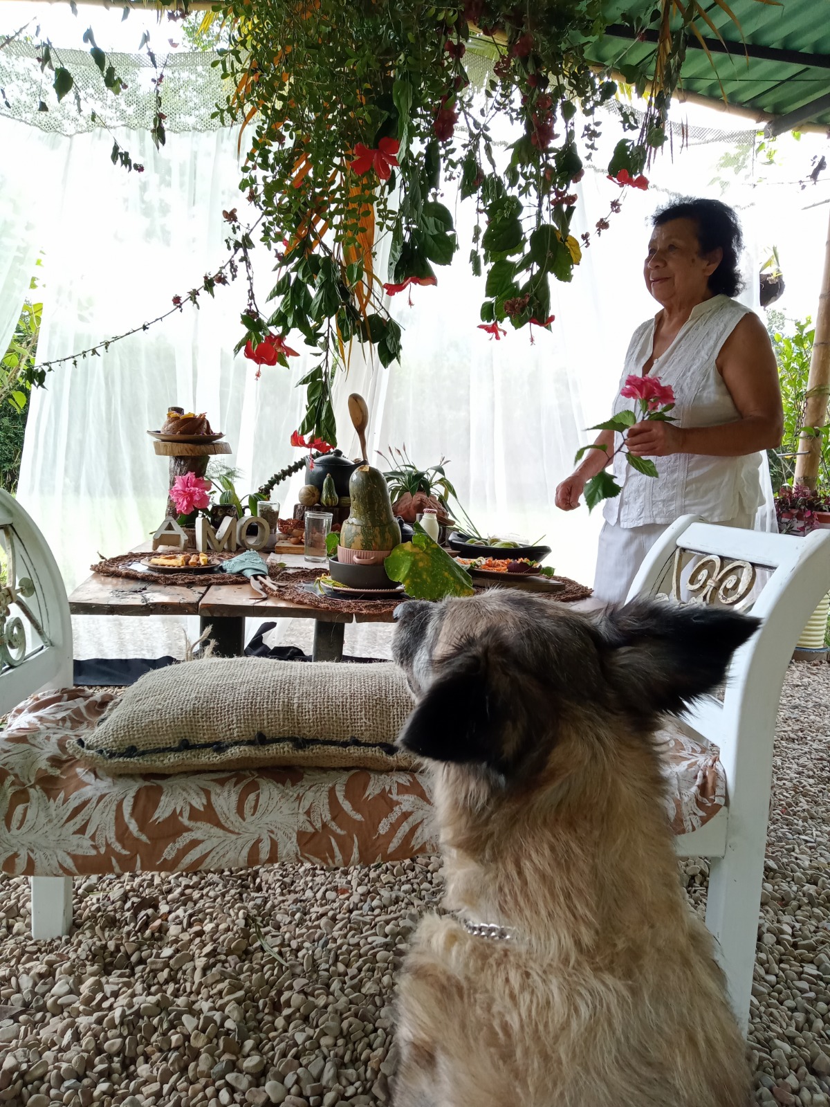 WhatsApp Image 2026-01-27 at 9.45.28 PM