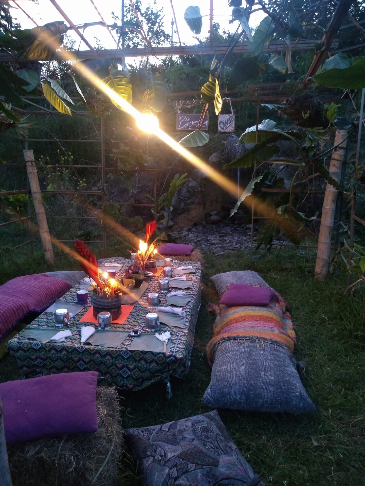 Consulta ayurvedica en la naturaleza