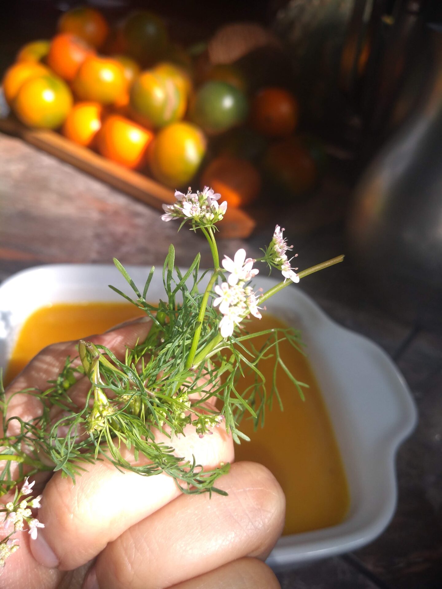 medicina ayurvedica en la montaña